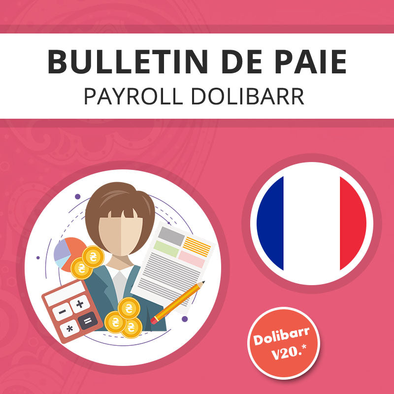 France payslip model Dolibarr